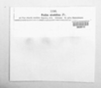 Crocicreas strobilinum image